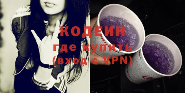 шишки Гусиноозёрск
