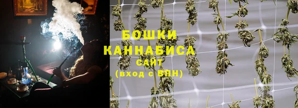 шишки Гусиноозёрск