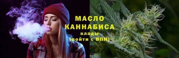 шишки Гусиноозёрск