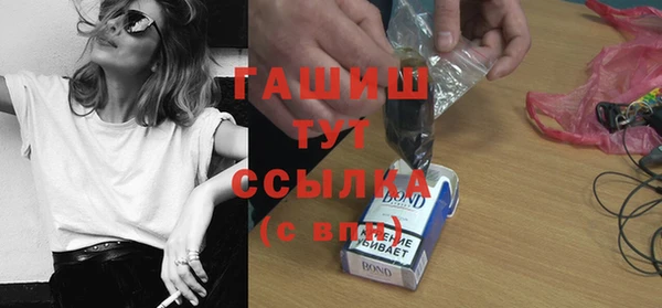 стафф Гусев