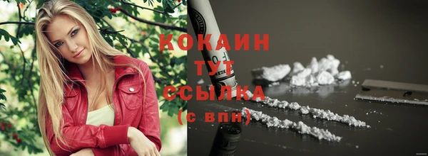 шишки Гусиноозёрск