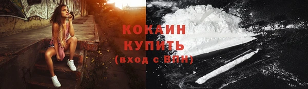 шишки Гусиноозёрск