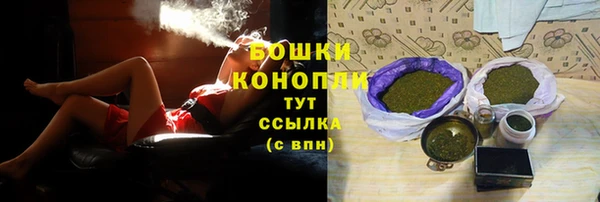 шишки Гусиноозёрск
