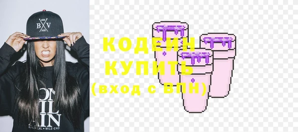 шишки Гусиноозёрск
