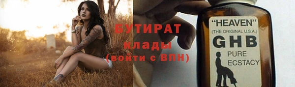 шишки Гусиноозёрск