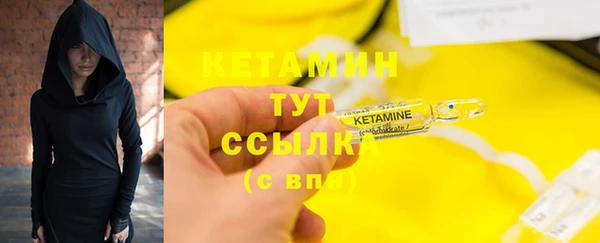 стафф Гусев