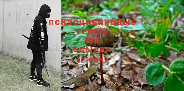 шишки Гусиноозёрск