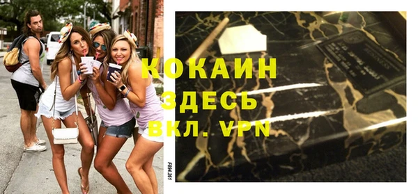 стафф Гусев