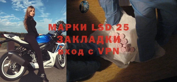 шишки Гусиноозёрск
