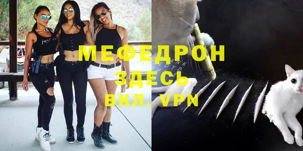 стафф Гусев