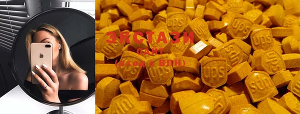 шишки Гусиноозёрск