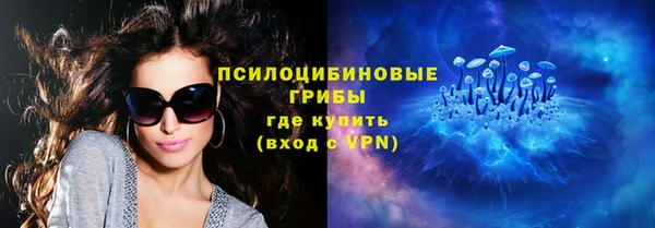 стафф Гусев