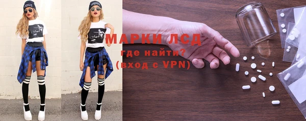 шишки Гусиноозёрск
