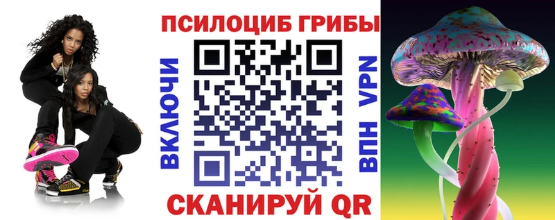 Галлюциногенные грибы мицелий  Купить закладки  Шумерля 